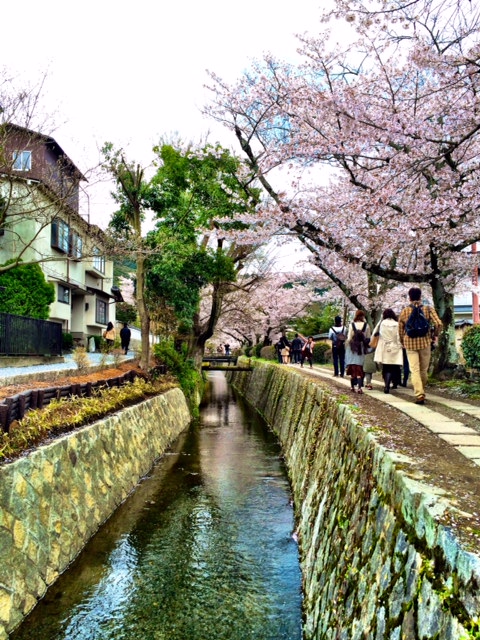 The Philosopher's Path is a lovely stroll that takes you along a stream.  It is known for the sakura (cherry blossom) trees that line it.