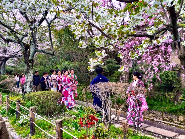 The path gets its name from one of Japan's most famous philosophers, who was said to meditate while walking this path. I'd say its a bit hard to meditate there during cherry blossom season, however - it's definitely crowded. 