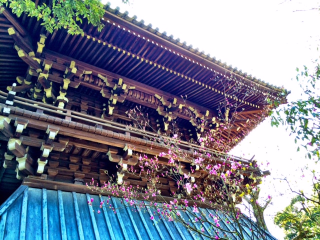 Make sure you look up. The detailing on temples and shrines is a display of true artistic mastery.