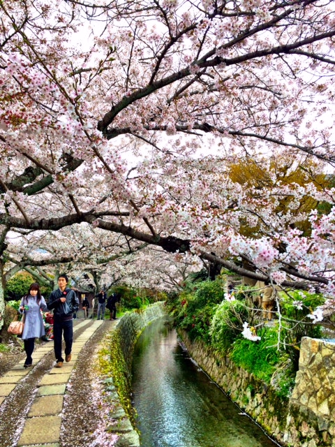 It's a long route, but there is lots to see along the way.  During cherry blossom season, vendors set up stands along the pathway to sell handmade goods and snacks.
