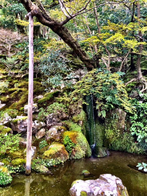 The temple is known for its beautiful moss gardens.
